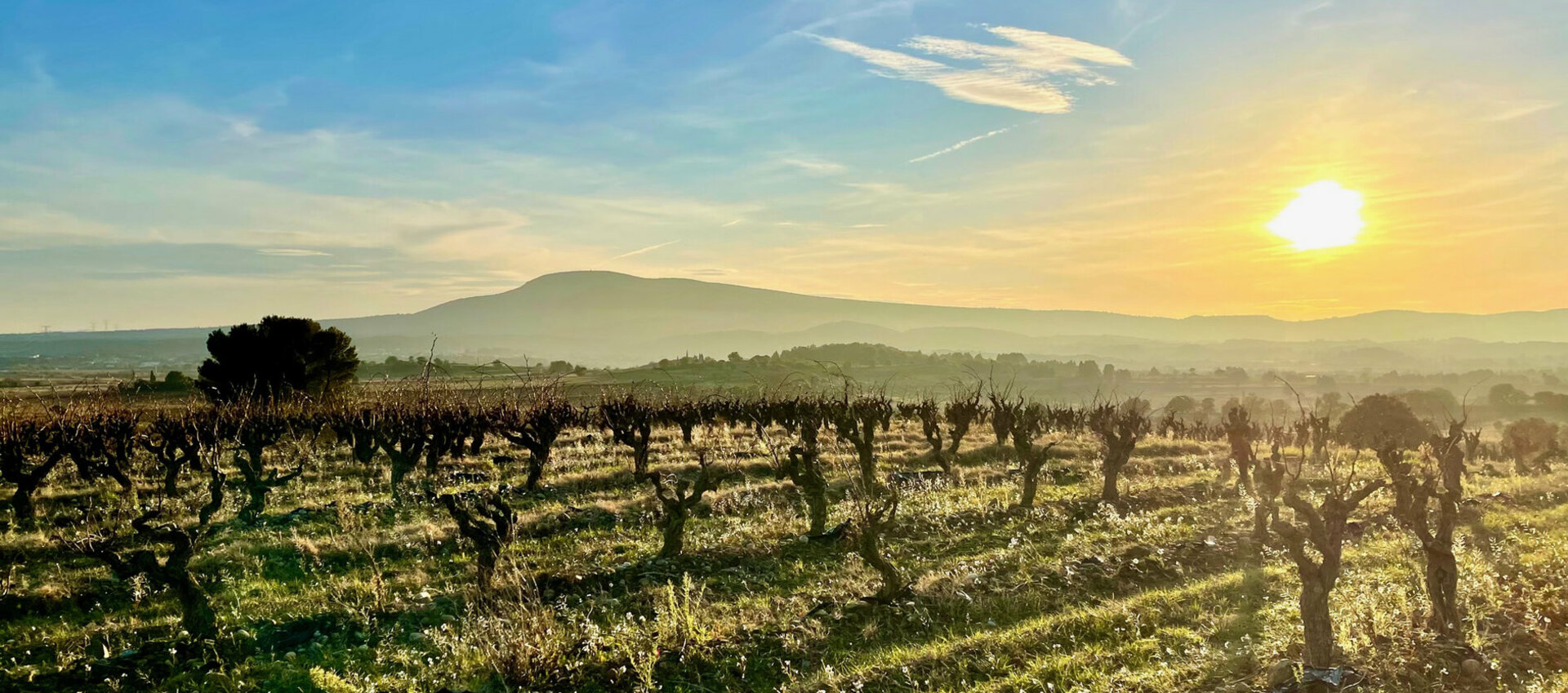 La Mairie de Roquecourbe Minervois vous souhaite la bienvenue dans l'Aude