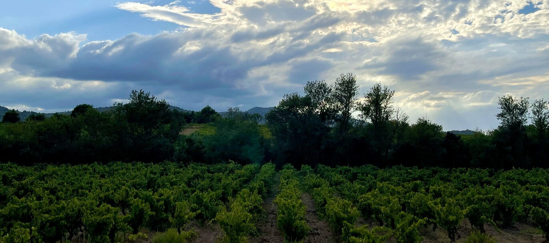La Mairie de Roquecourbe Minervois vous souhaite la bienvenue dans l'Aude