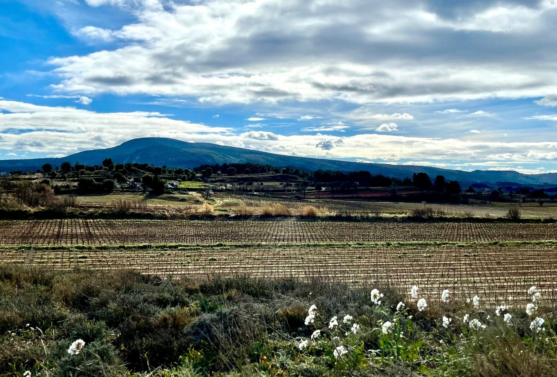La Mairie de Roquecourbe Minervois vous souhaite la bienvenue dans l'Aude