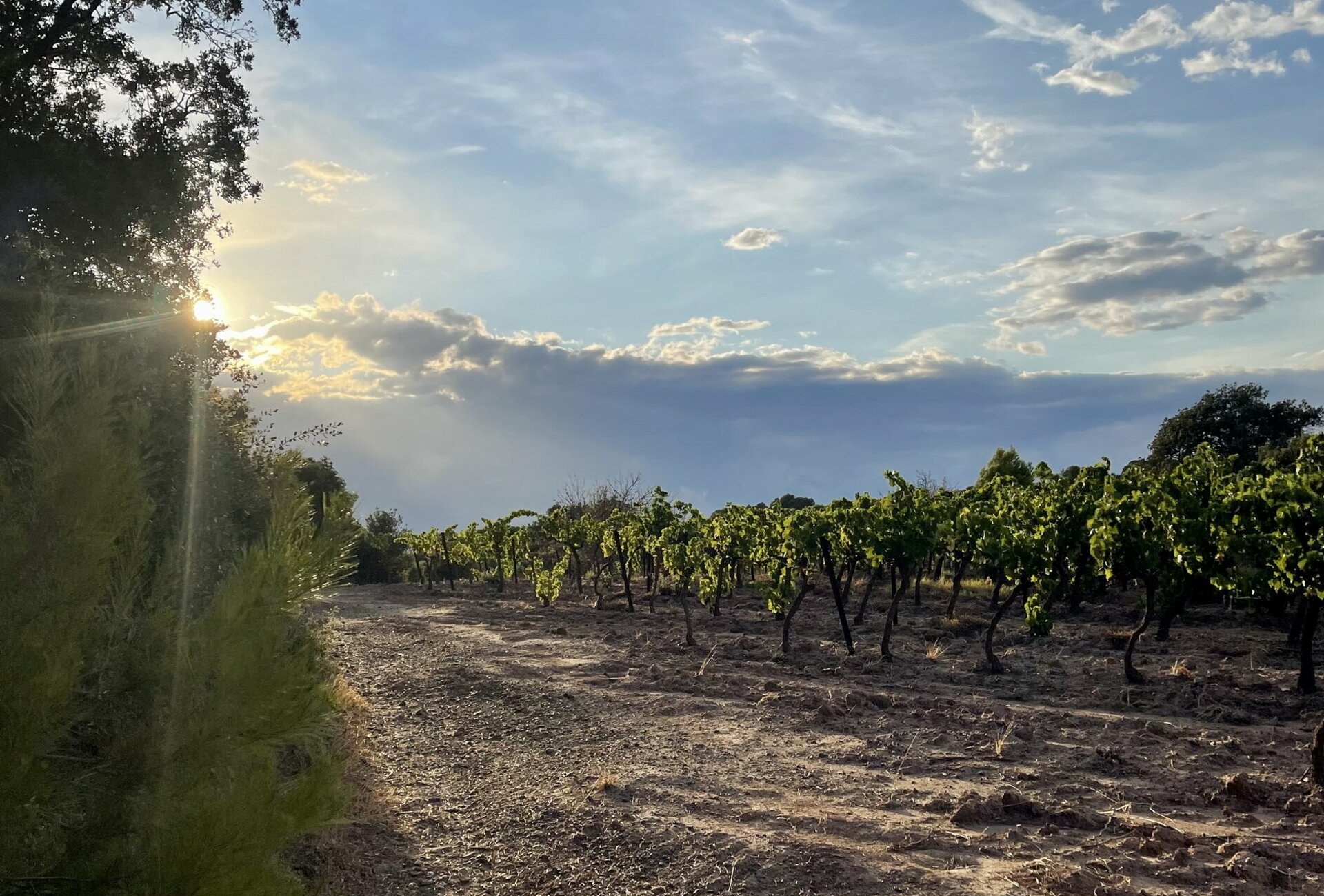 La Mairie de Roquecourbe Minervois vous souhaite la bienvenue dans l'Aude